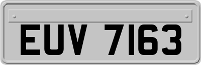 EUV7163