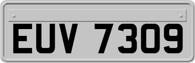 EUV7309