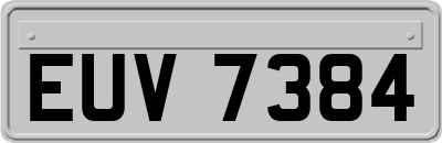 EUV7384