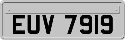 EUV7919