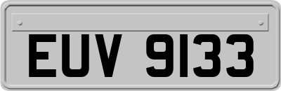 EUV9133