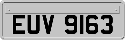 EUV9163
