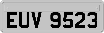 EUV9523