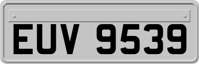EUV9539