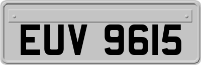 EUV9615
