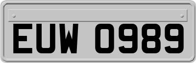 EUW0989