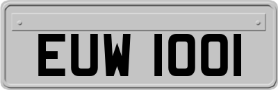 EUW1001