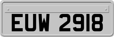 EUW2918