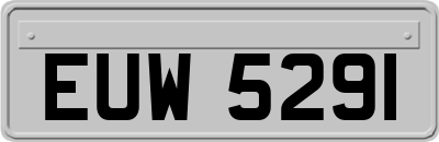 EUW5291