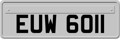 EUW6011