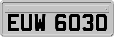 EUW6030