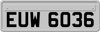 EUW6036