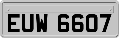 EUW6607