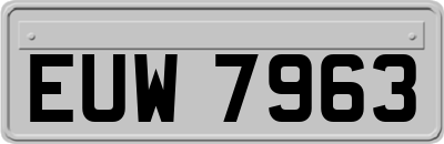 EUW7963