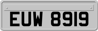 EUW8919