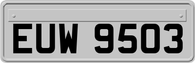 EUW9503