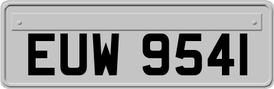 EUW9541