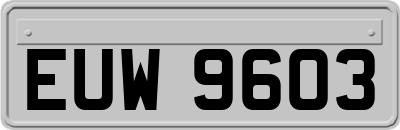 EUW9603