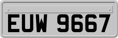 EUW9667