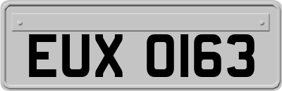 EUX0163