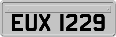 EUX1229