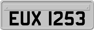 EUX1253
