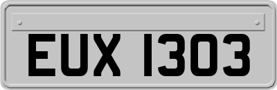 EUX1303