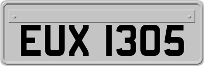 EUX1305