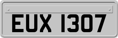 EUX1307