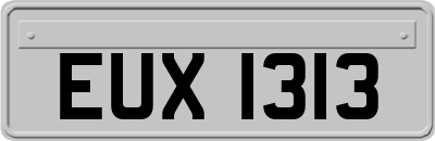 EUX1313