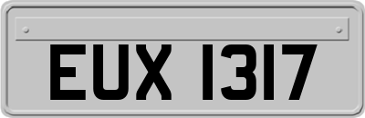 EUX1317