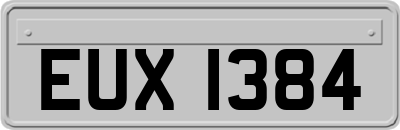 EUX1384