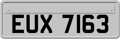 EUX7163