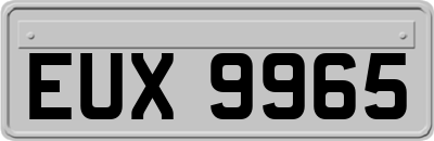 EUX9965