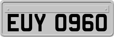 EUY0960