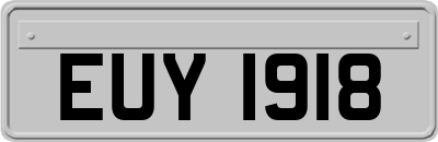 EUY1918