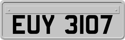 EUY3107