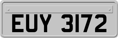 EUY3172