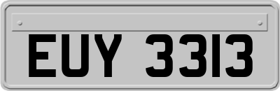 EUY3313