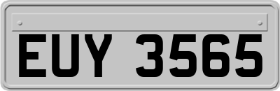 EUY3565
