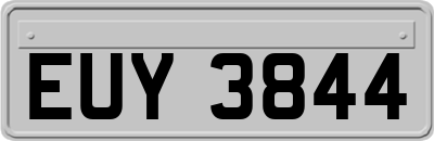 EUY3844