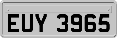 EUY3965