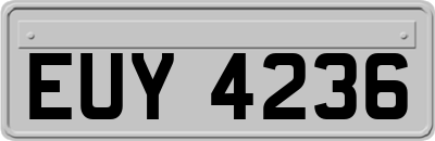EUY4236