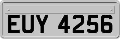 EUY4256