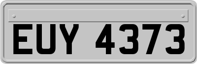 EUY4373