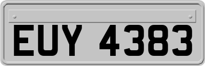 EUY4383