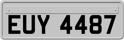 EUY4487