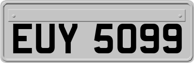 EUY5099