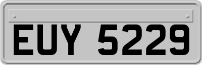 EUY5229