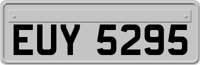 EUY5295